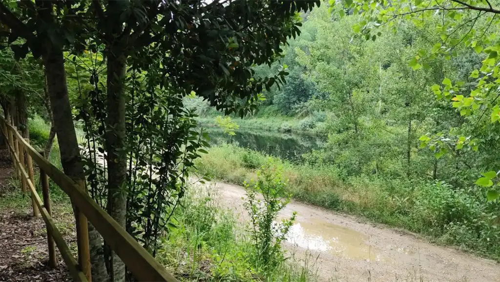 Parque Natural de Lourenço